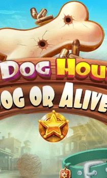 The Dog House- Dog or Alive